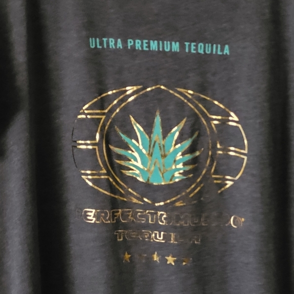 WILDFOX Oversized T-shirt Gray NWOT - Picture 3 of 8